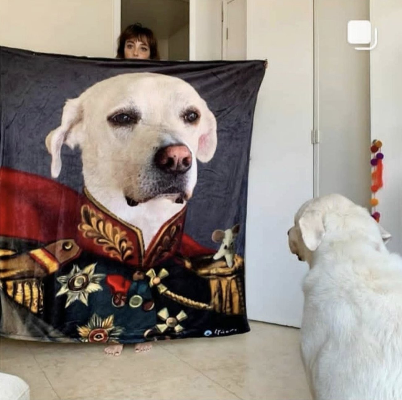 Frazada personalizable