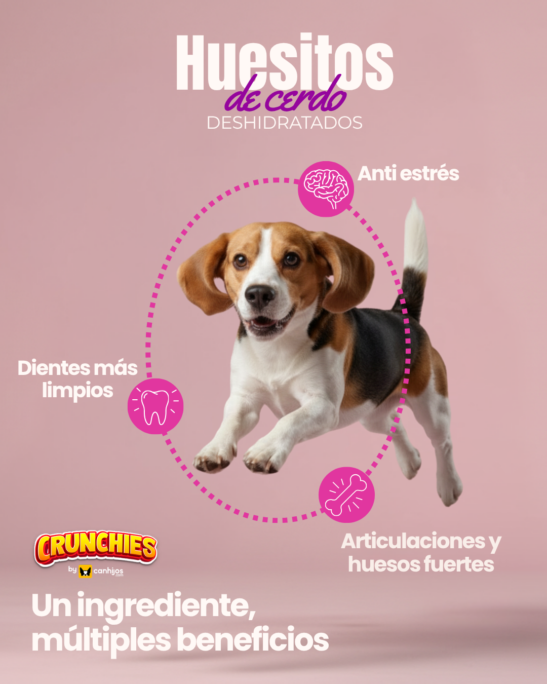 Huesitos de cerdo