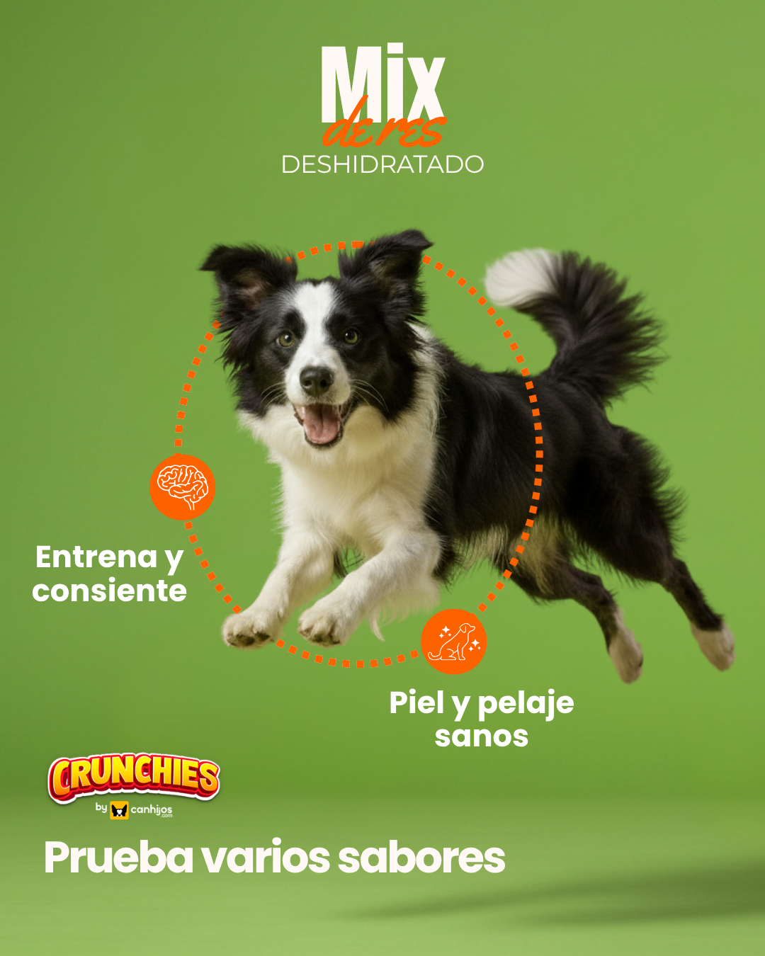 MIX de res