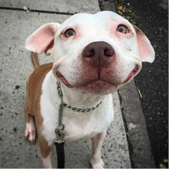 Paquito, 3 años