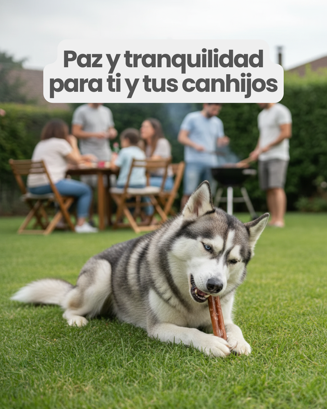 Viril de Res