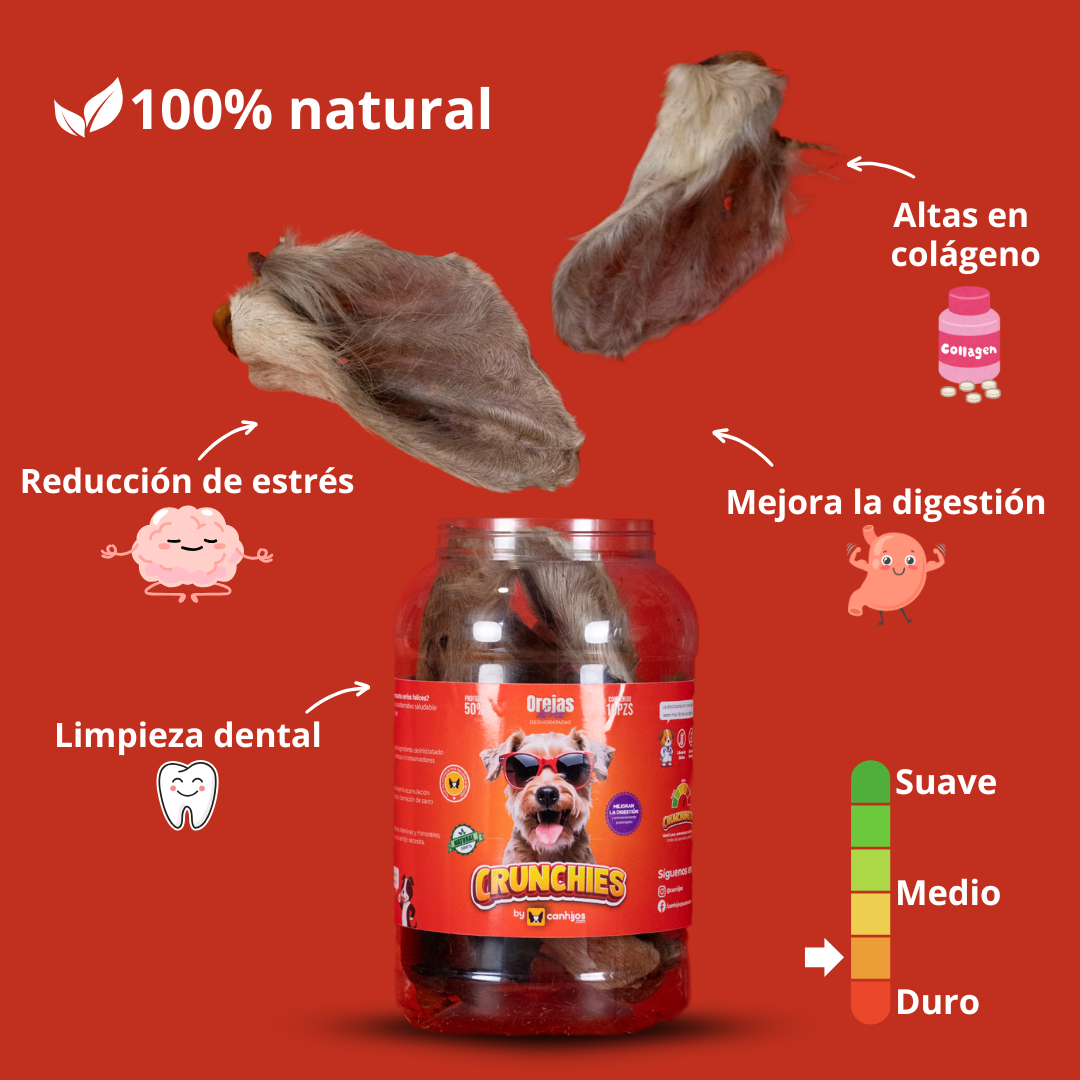 Orejas de res con pelo