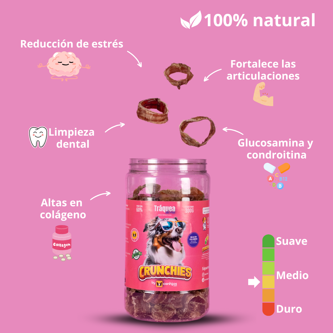 Tráquea de res