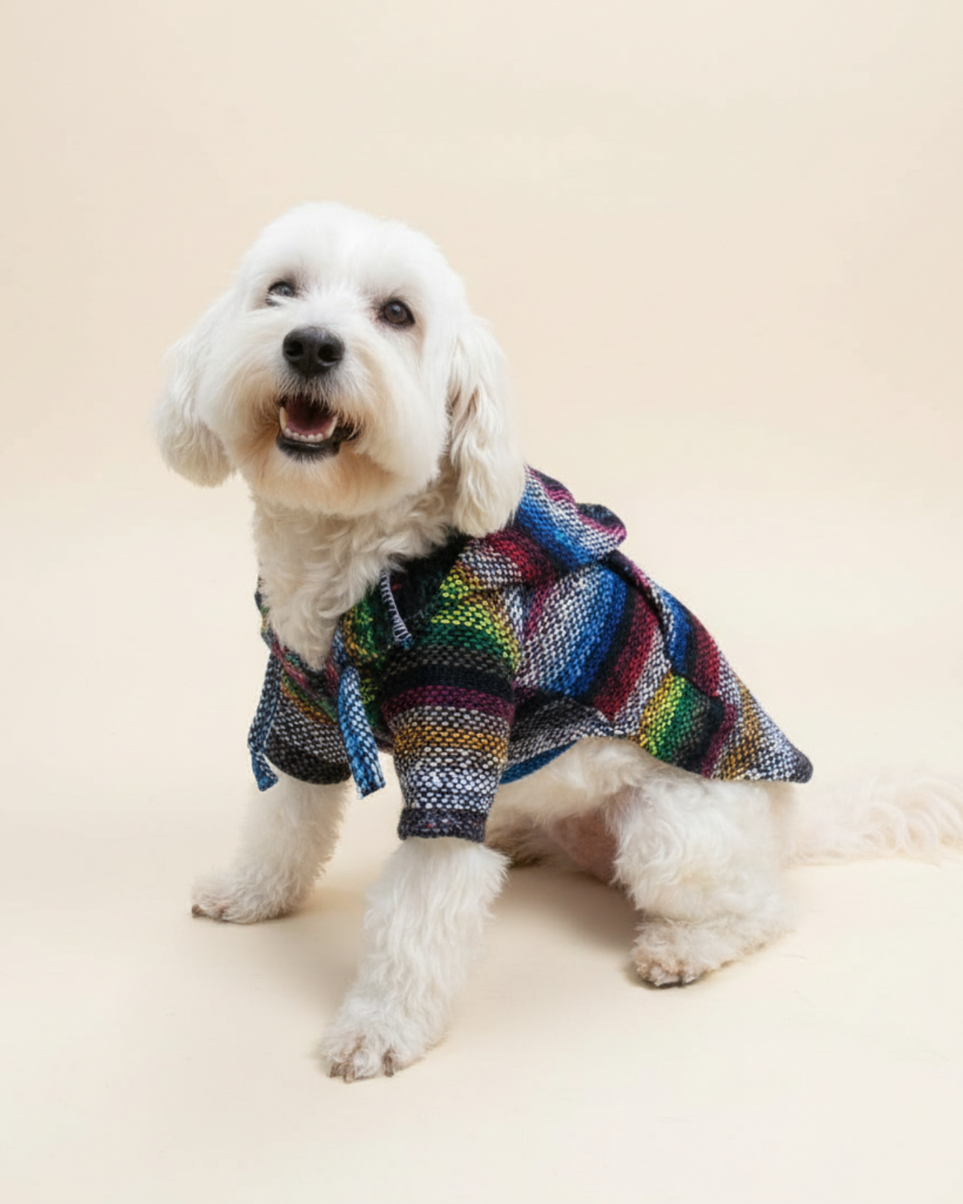 Jorongos Artesanales