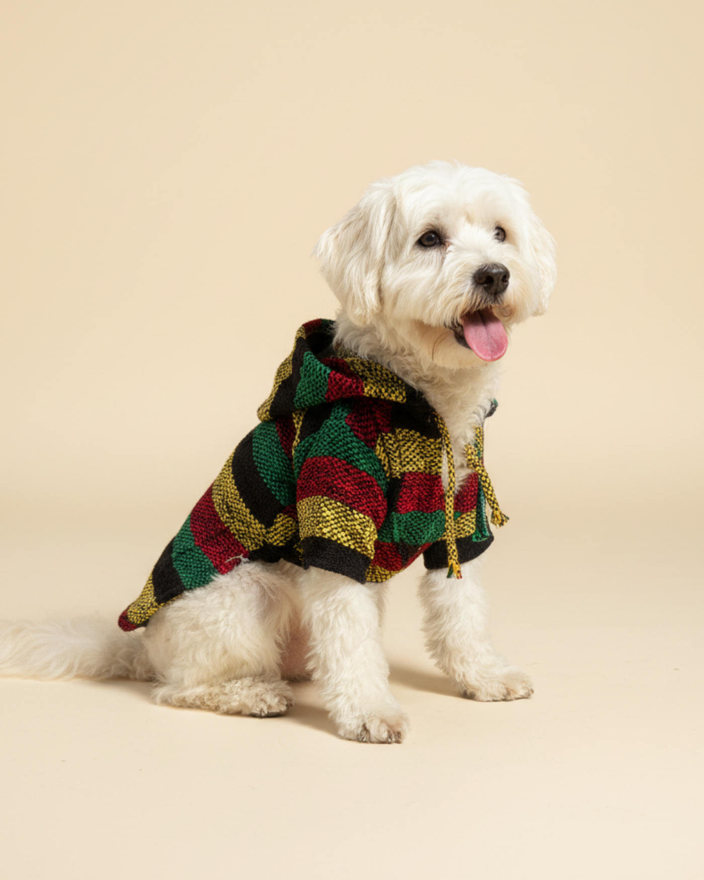 Jorongos Artesanales