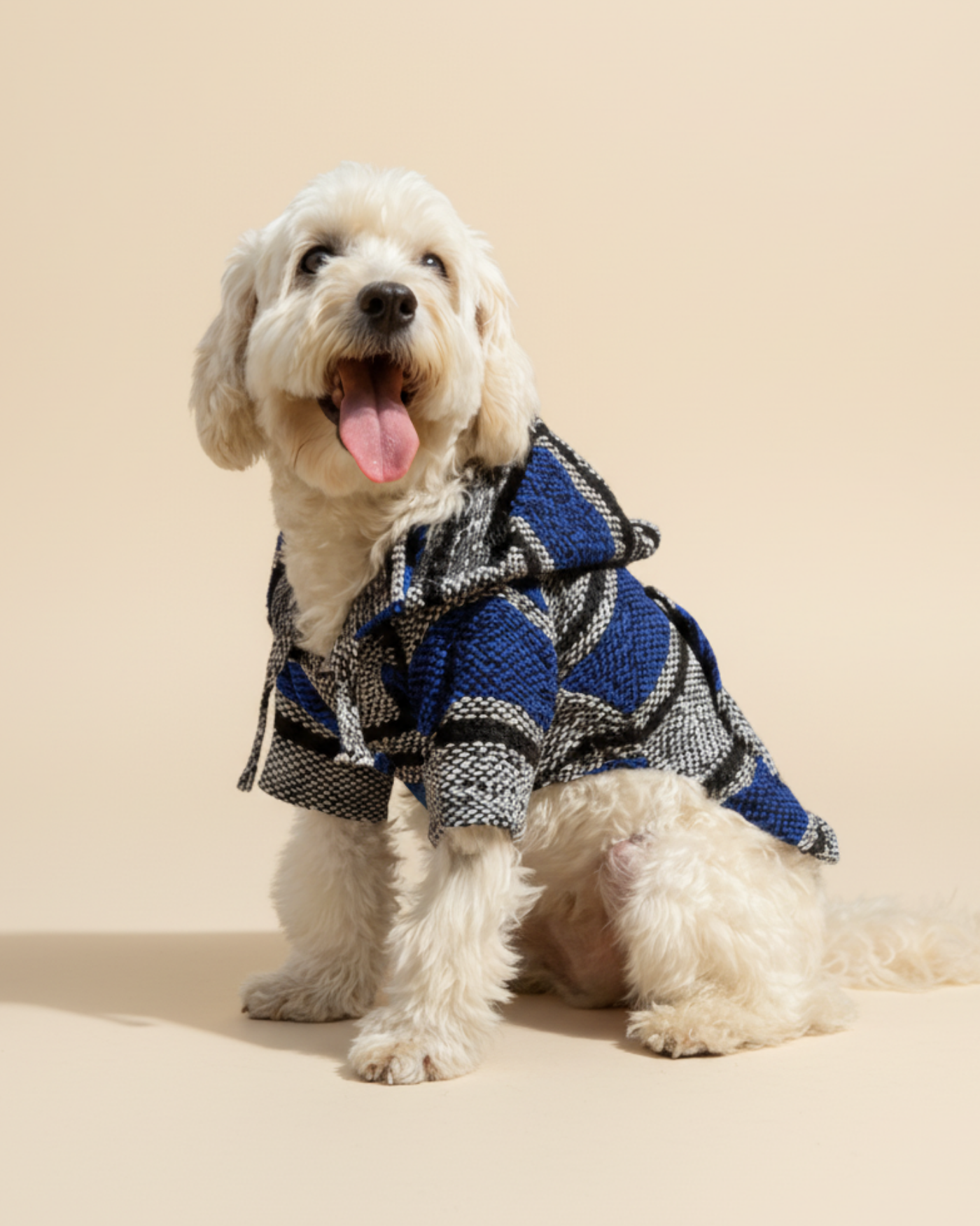 Jorongos Artesanales