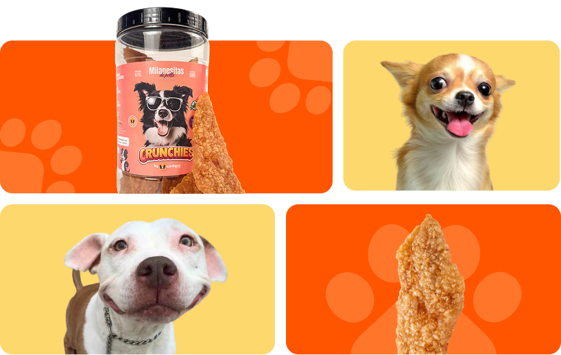 Milanesitas de pollo para perros