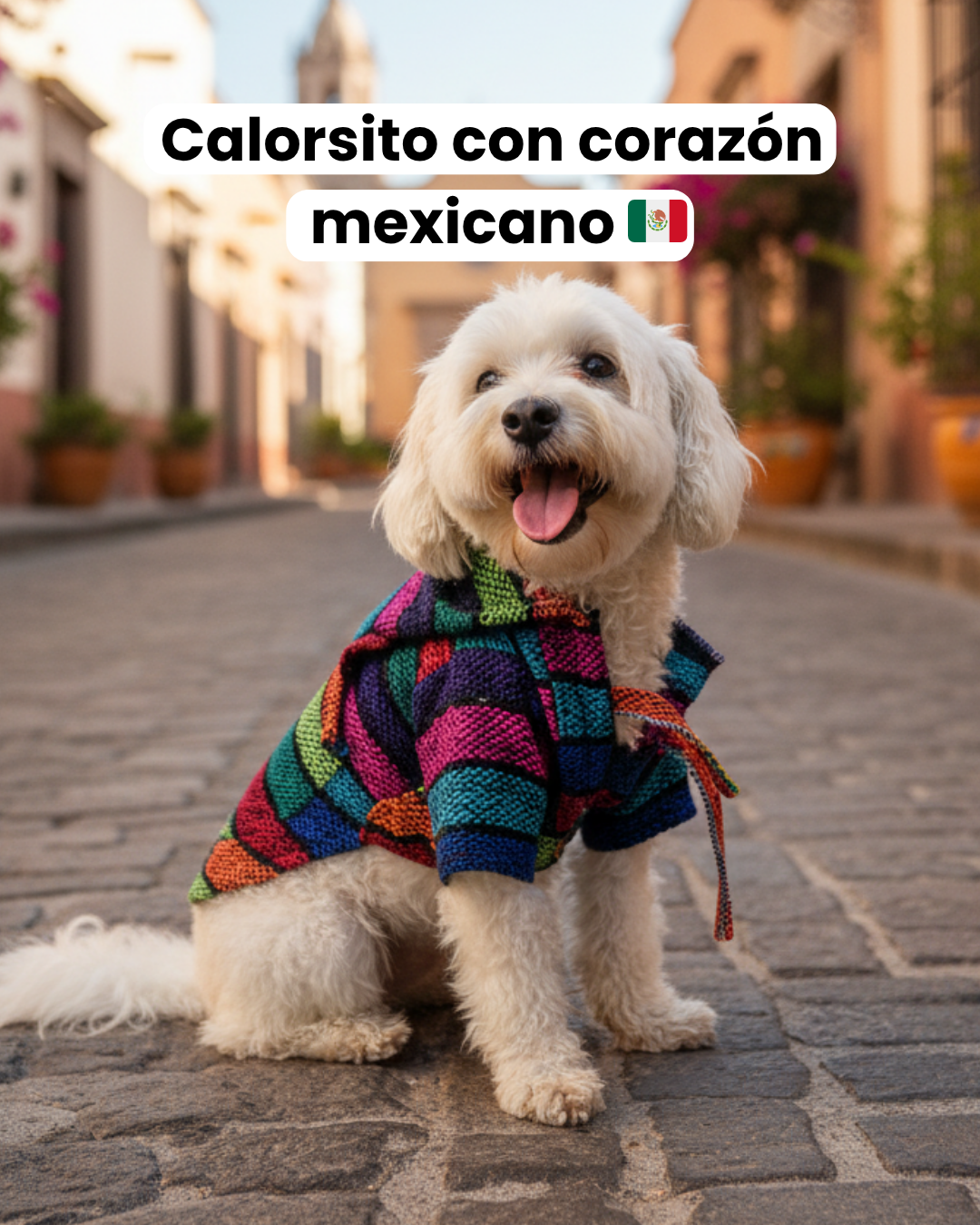 Jorongos Artesanales