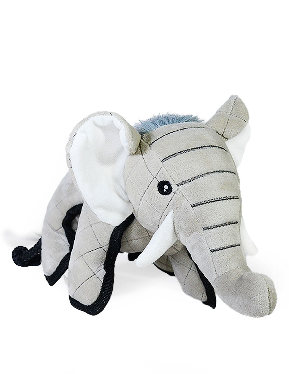 Elefante