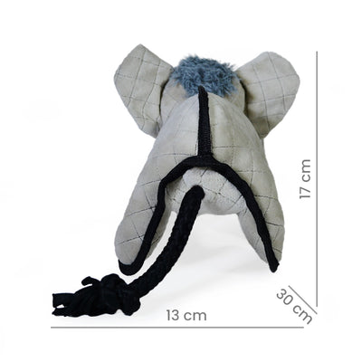 Elefante