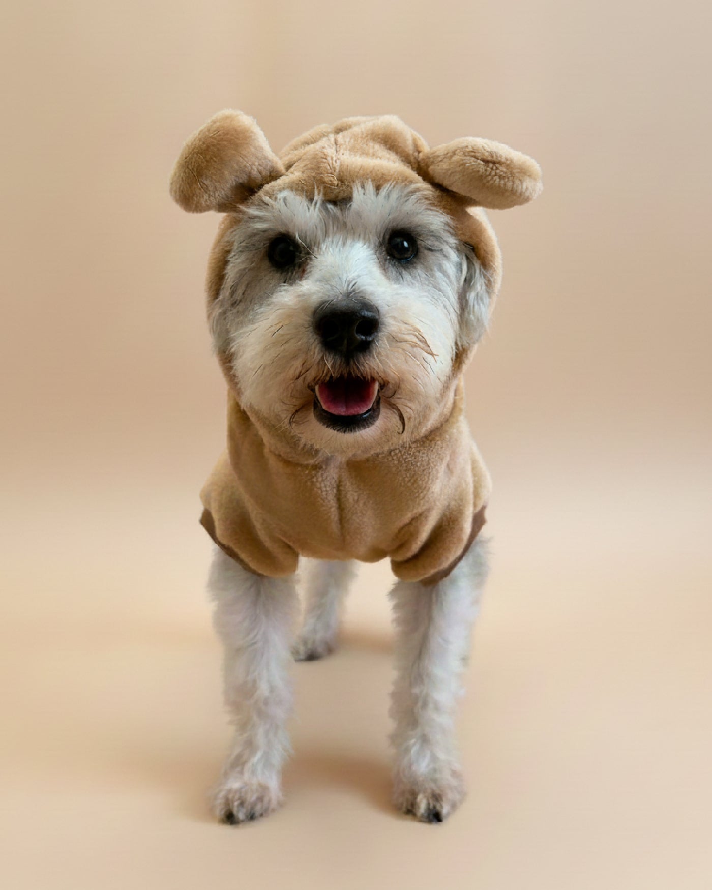 Suéteres de animalitos