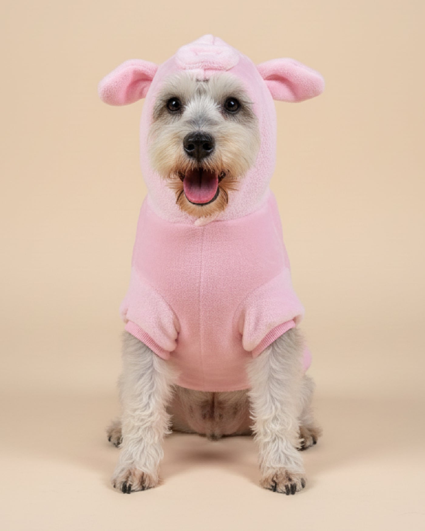 Suéteres de animalitos