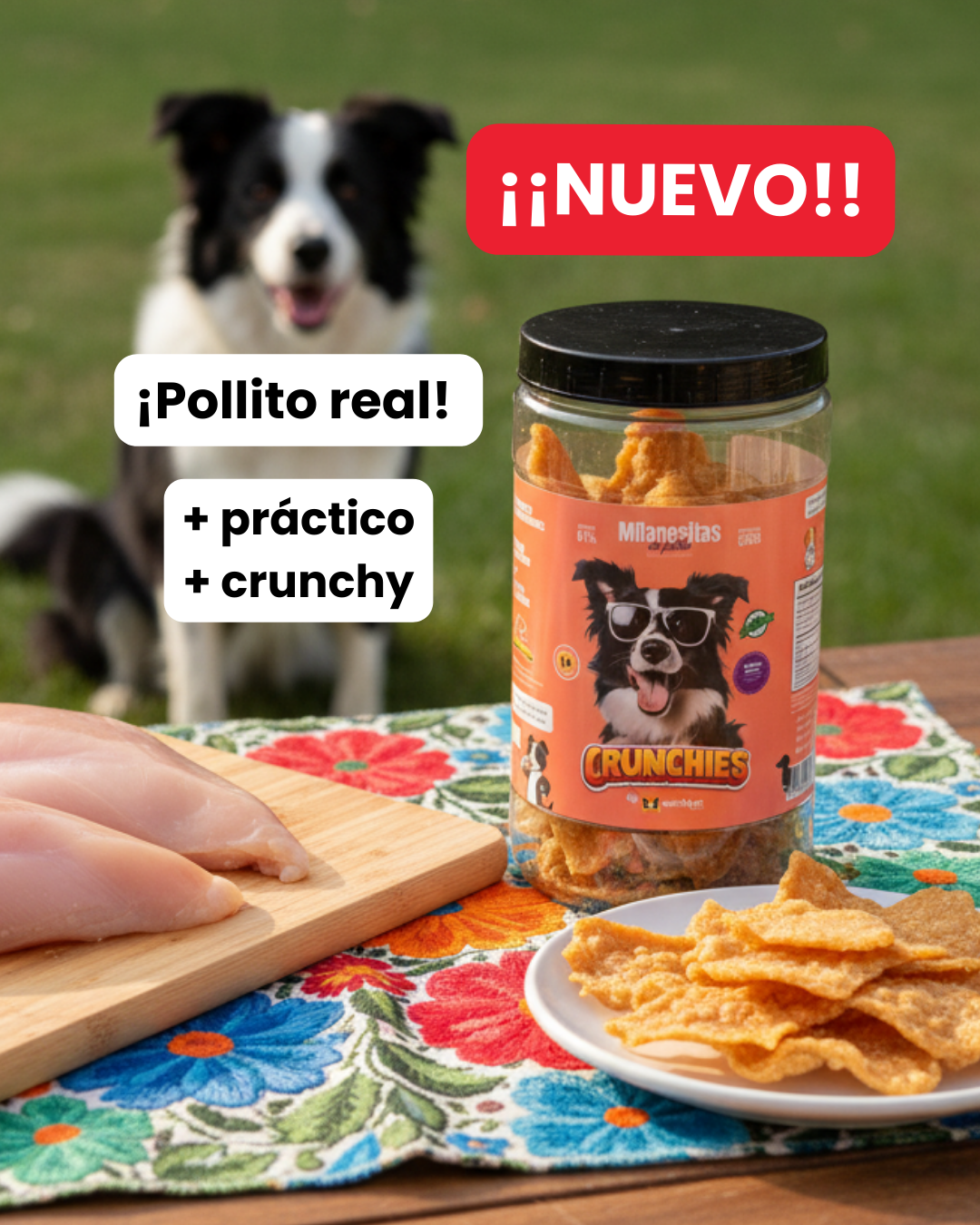 Milanesitas de pollo