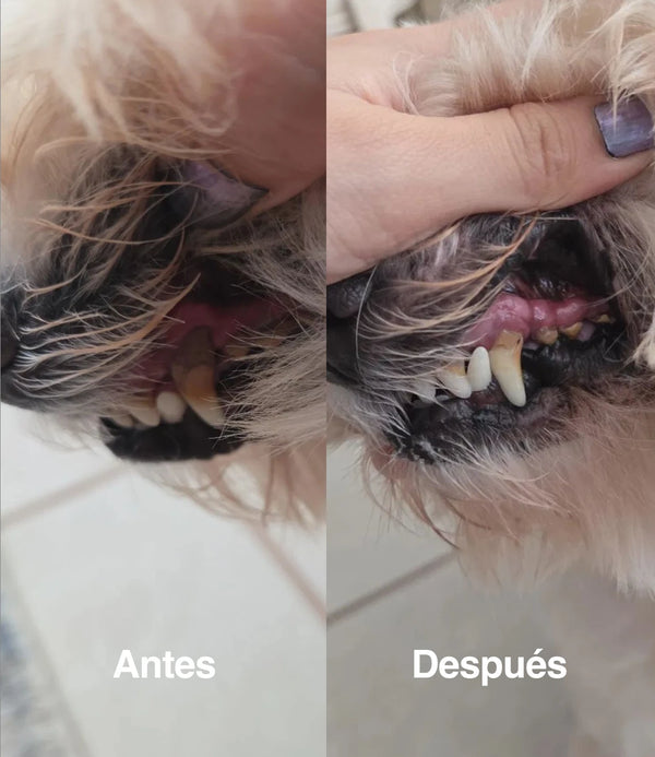 Limpieza dental natural