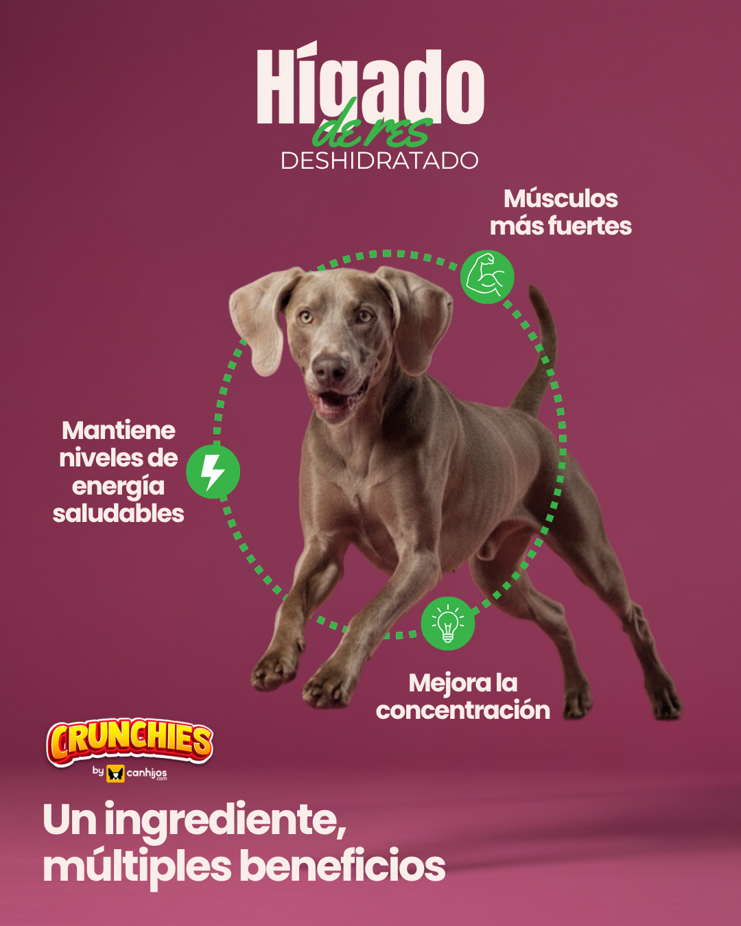 Hígado de res