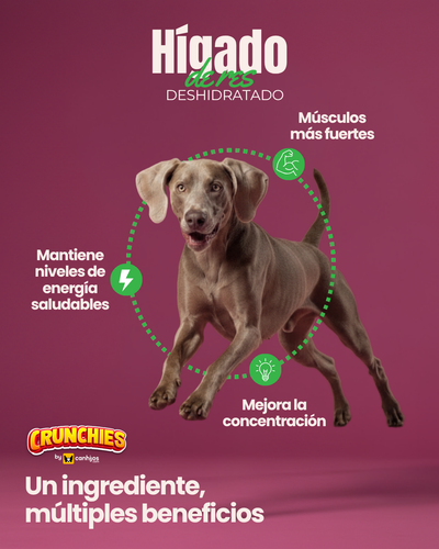Hígado de res