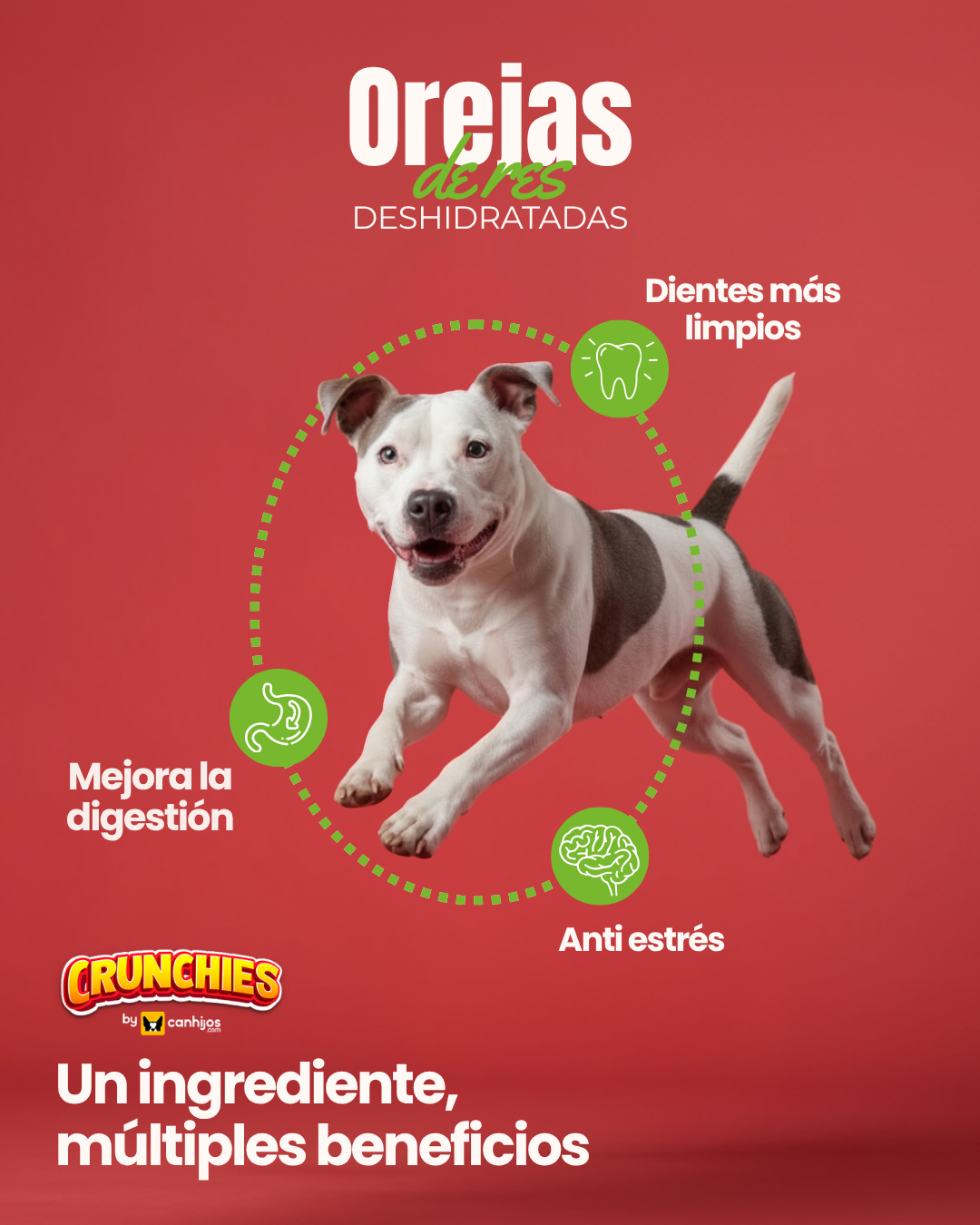 Orejas de res con pelo