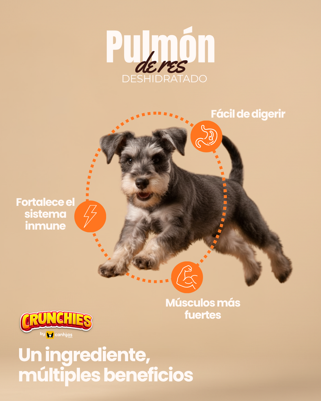 Pulmón de res