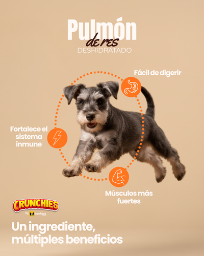 Pulmón de res