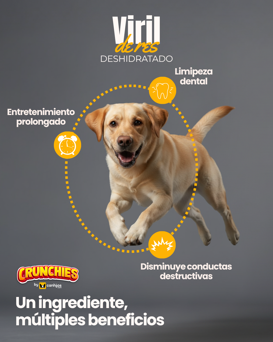 Viril de Res