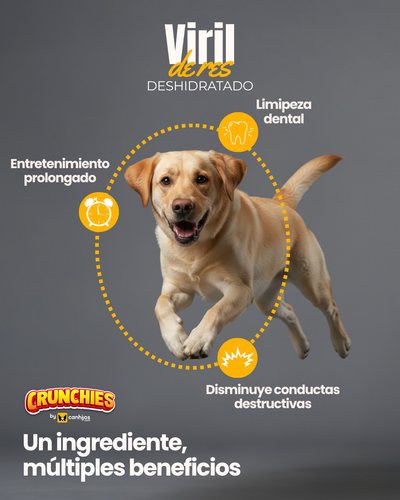 Viril de Res