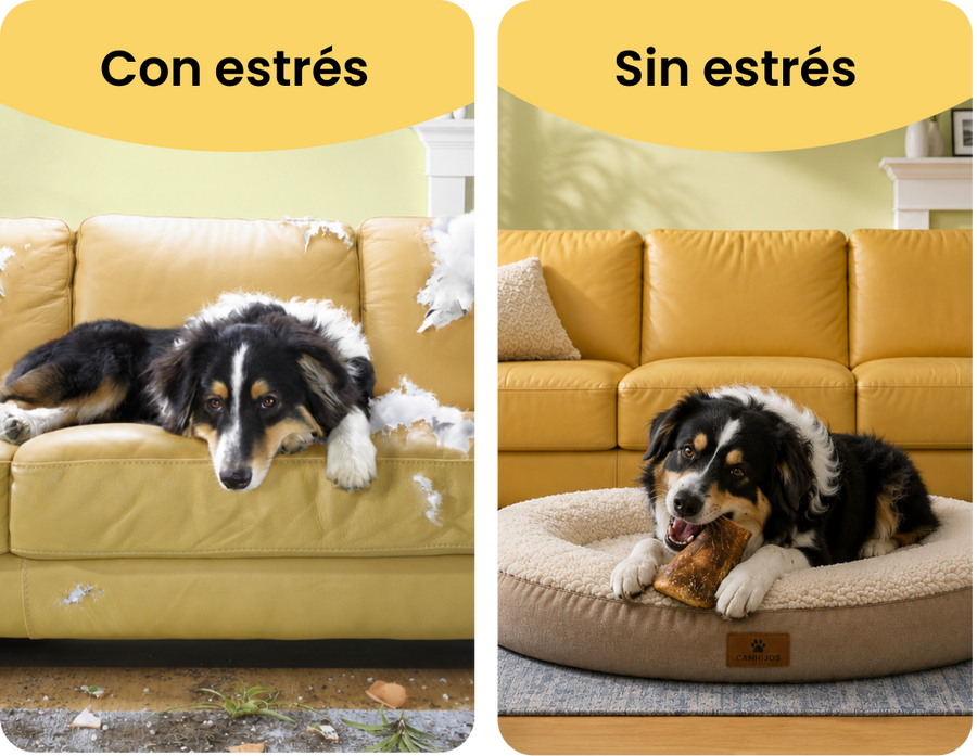 Snacks masticables que liberan el estrés en perros