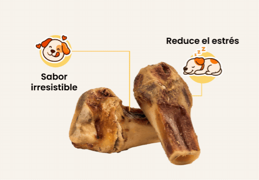 Premios masticables que reducen el estrés