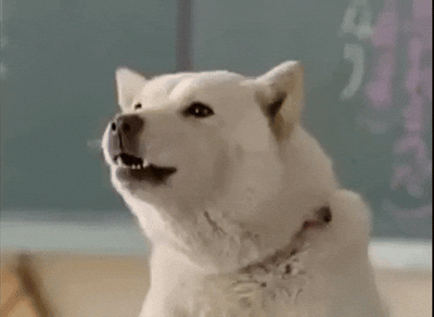 Perro con vocalización excesiva