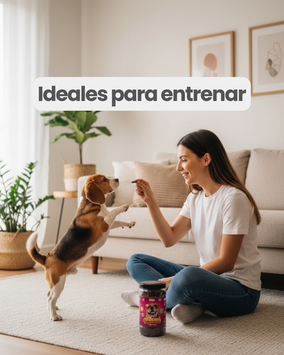 Hígado de res