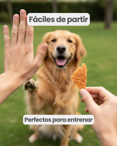 Milanesitas de pollo
