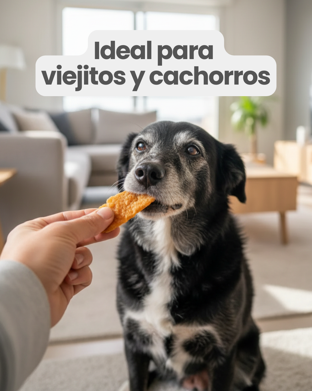Milanesitas de pollo