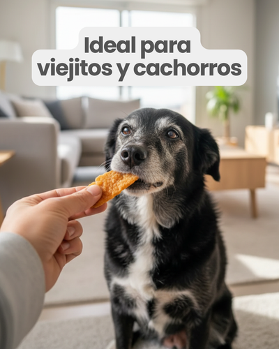 Milanesitas de pollo