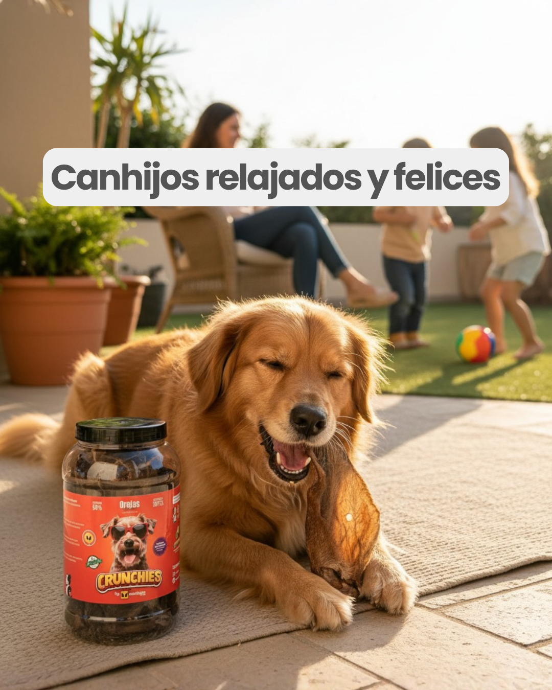 Orejas de res con pelo