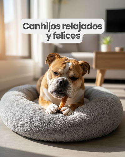 Viril de Res