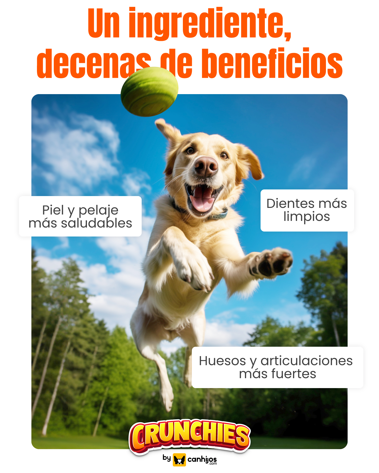 Patitas de pollo