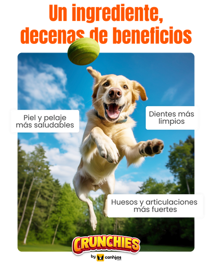 Patitas de pollo