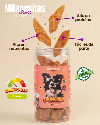 Milanesitas de pollo