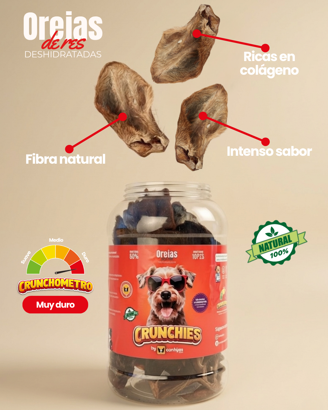 Orejas de res con pelo