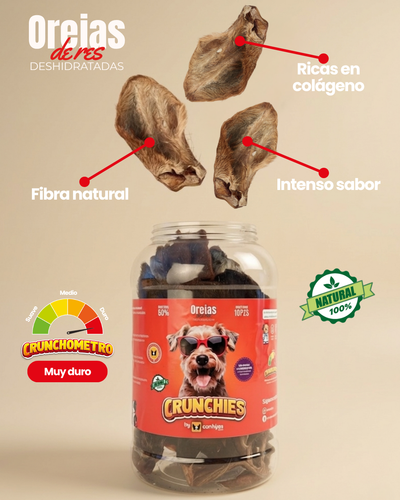 Orejas de res con pelo