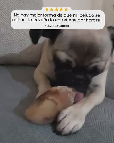 Pezuña de res con hígado