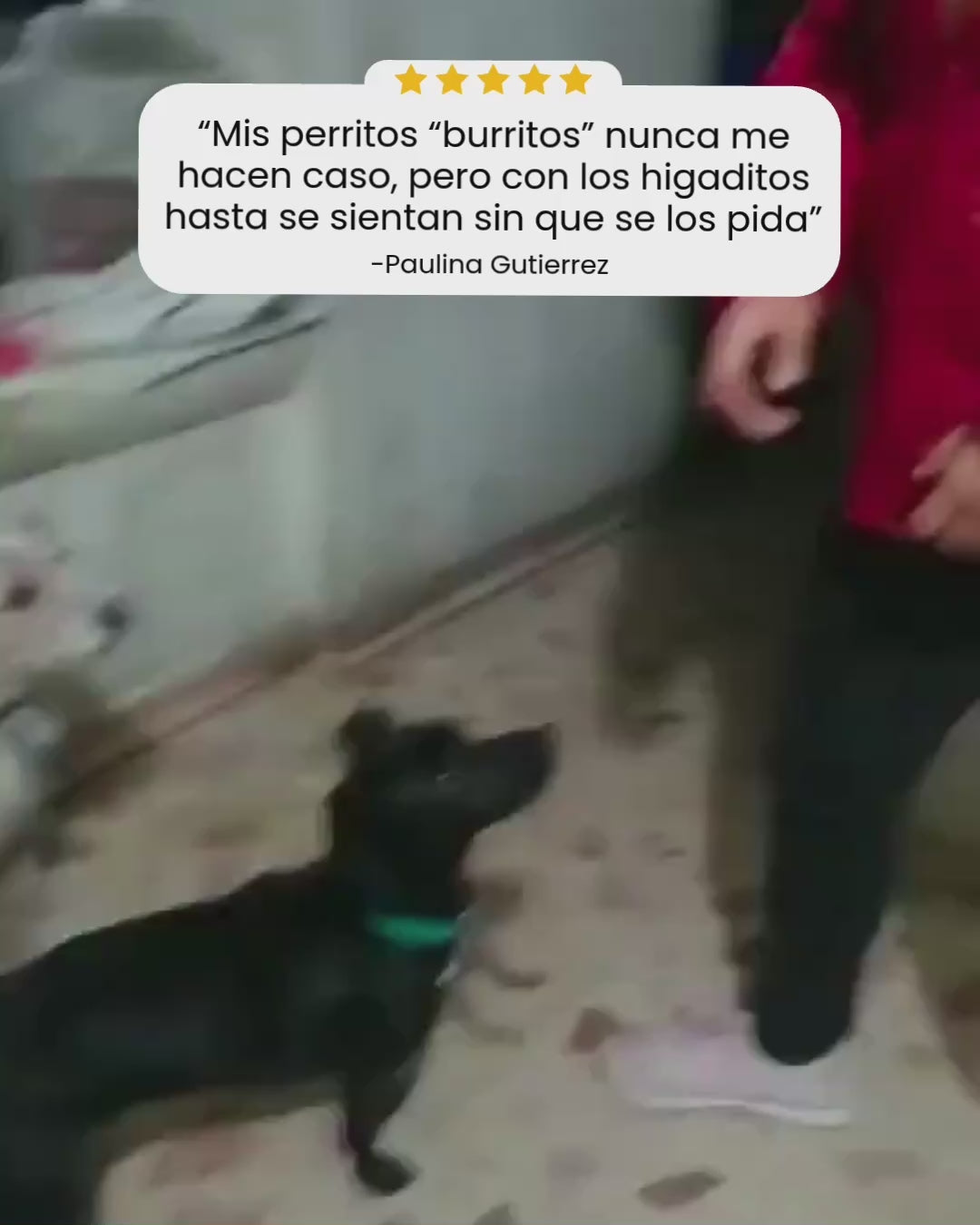 Hígado de res