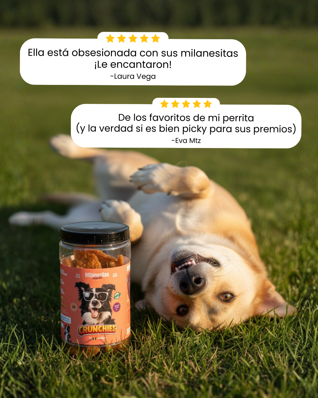 Milanesitas de pollo