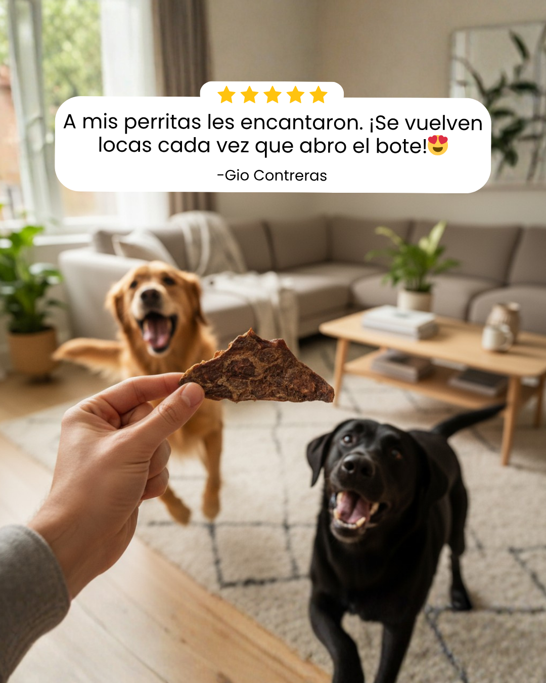 Pulmón de res