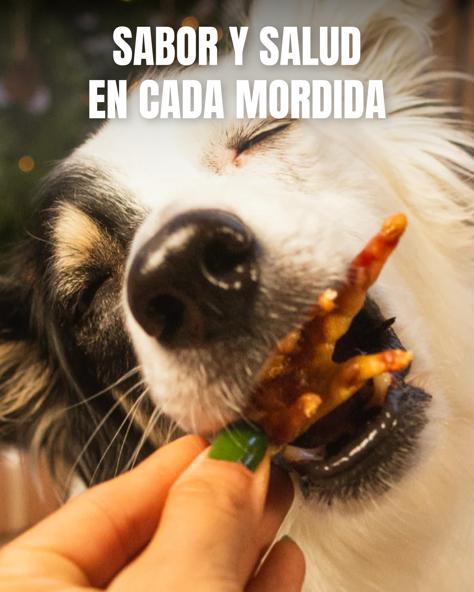 Patitas de pollo