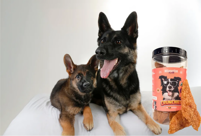 Perros con milanesitas